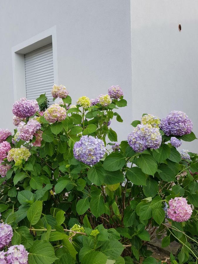 B&B Buscemi Pistoia Eksteriør billede